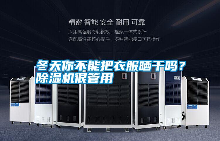 冬天你不能把衣服曬干嗎？除濕機(jī)很管用