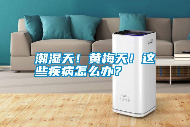 潮濕天！黃梅天！這些疾病怎么辦？