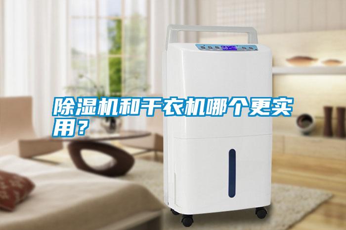 除濕機和干衣機哪個更實用？