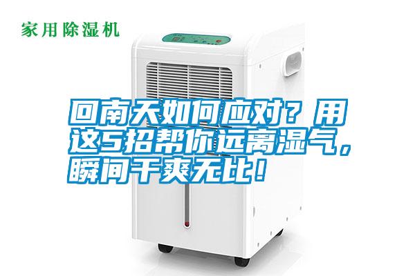 回南天如何應(yīng)對？用這5招幫你遠(yuǎn)離濕氣，瞬間干爽無比！