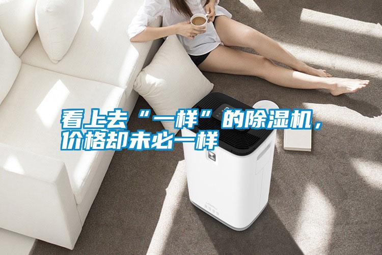 看上去“一樣”的除濕機(jī)，價(jià)格卻未必一樣