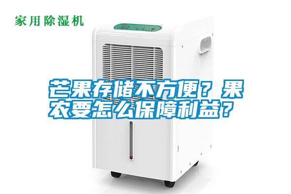 芒果存儲不方便？果農(nóng)要怎么保障利益？