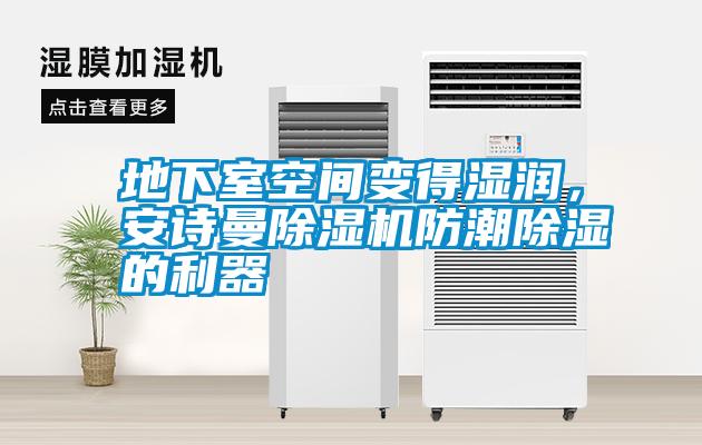 地下室空間變得濕潤，安詩曼除濕機(jī)防潮除濕的利器