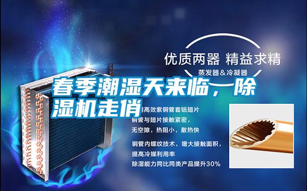 春季潮濕天來臨，除濕機走俏