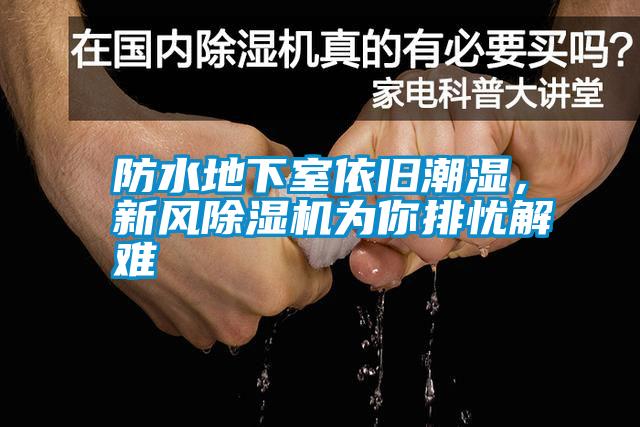 防水地下室依舊潮濕，新風除濕機為你排憂解難