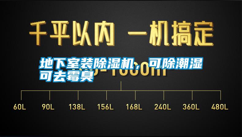 地下室裝除濕機(jī)，可除潮濕可去霉臭
