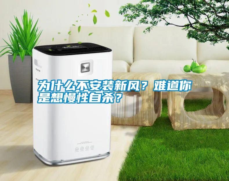 為什么不安裝新風？難道你是想慢性自殺？