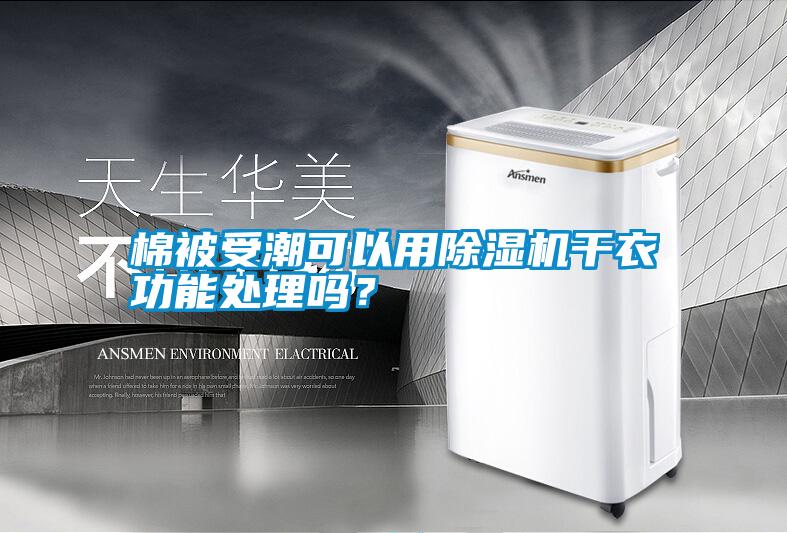 棉被受潮可以用除濕機干衣功能處理嗎？