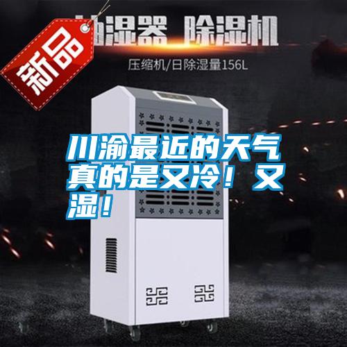 川渝最近的天氣真的是又冷！又濕！