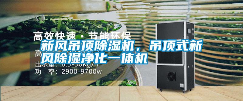 新風(fēng)吊頂除濕機(jī)，吊頂式新風(fēng)除濕凈化一體機(jī)