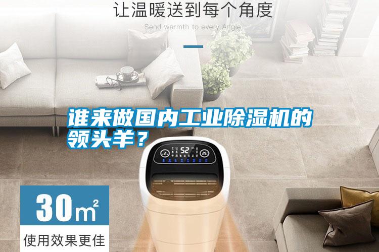 誰來做國內工業(yè)除濕機的領頭羊？