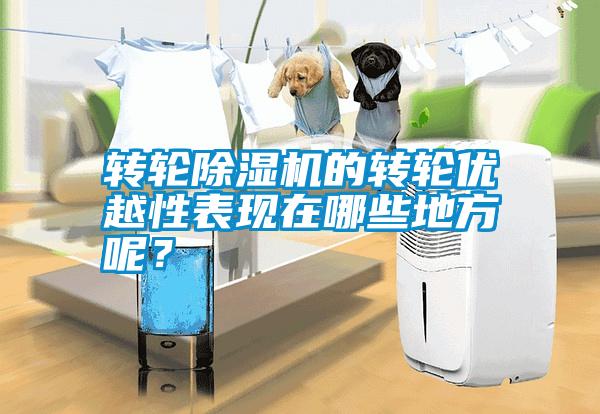 轉(zhuǎn)輪除濕機(jī)的轉(zhuǎn)輪優(yōu)越性表現(xiàn)在哪些地方呢？