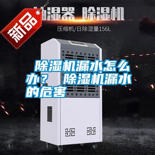  除濕機(jī)漏水怎么辦？ 除濕機(jī)漏水的危害
