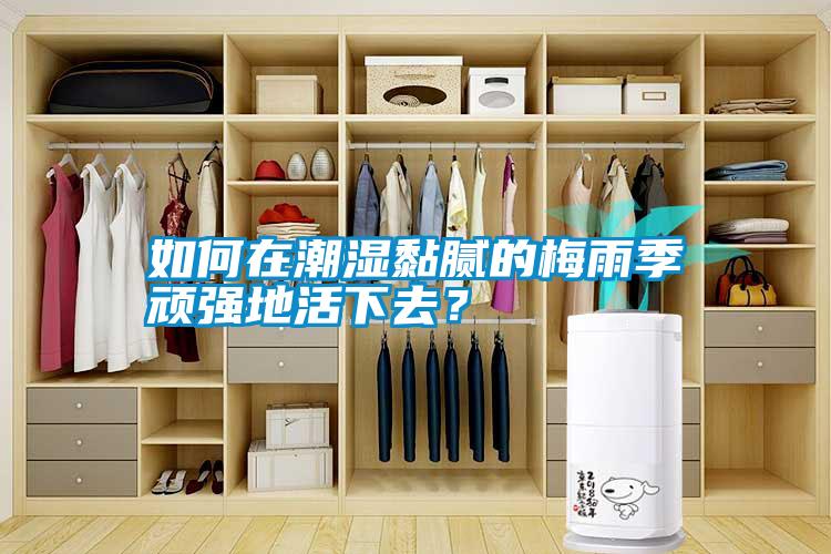 如何在潮濕黏膩的梅雨季頑強(qiáng)地活下去？