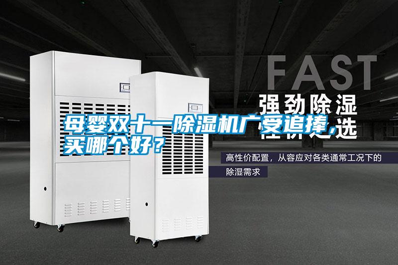 母嬰雙十一除濕機(jī)廣受追捧，買哪個好？