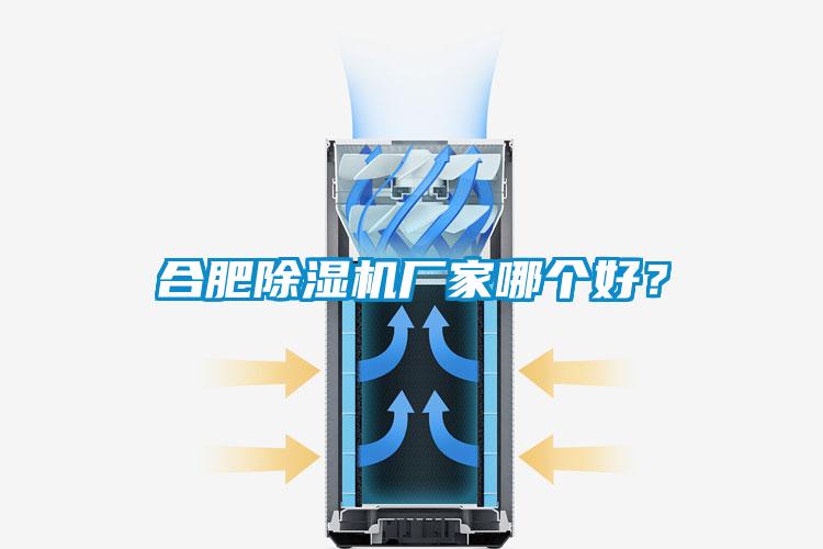 合肥除濕機(jī)廠家哪個(gè)好？