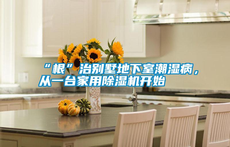 “根”治別墅地下室潮濕病，從一臺(tái)家用除濕機(jī)開始