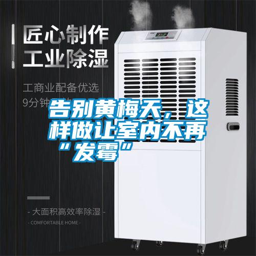 告別黃梅天，這樣做讓室內(nèi)不再“發(fā)霉”