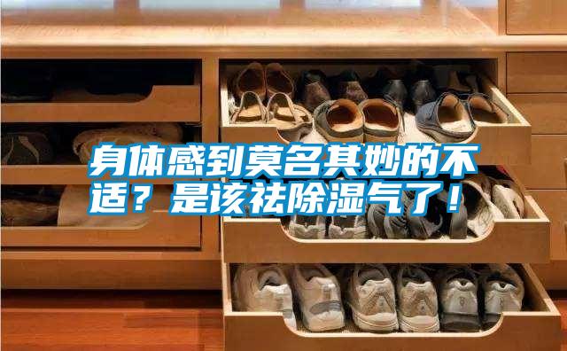 身體感到莫名其妙的不適？是該祛除濕氣了！