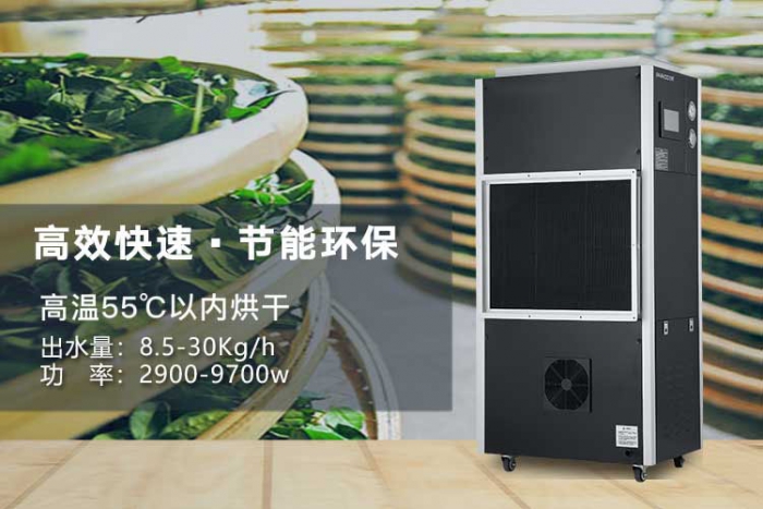濕氣重的人，是不是更容易出汗？