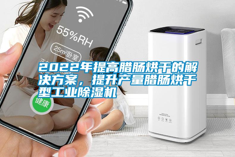 2022年提高臘腸烘干的解決方案，提升產(chǎn)量臘腸烘干型工業(yè)除濕機(jī)