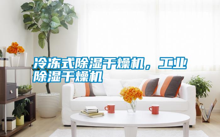 冷凍式除濕干燥機(jī)，工業(yè)除濕干燥機(jī)