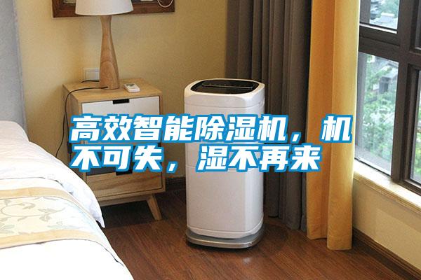 高效智能除濕機，機不可失，濕不再來