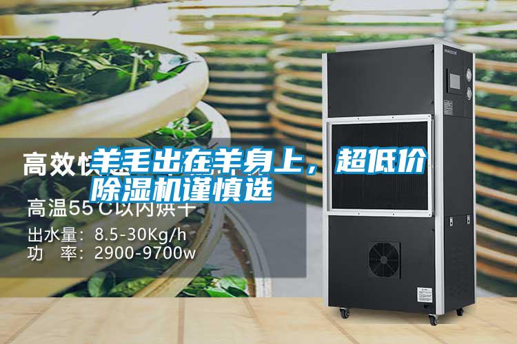 羊毛出在羊身上，超低價(jià)除濕機(jī)謹(jǐn)慎選