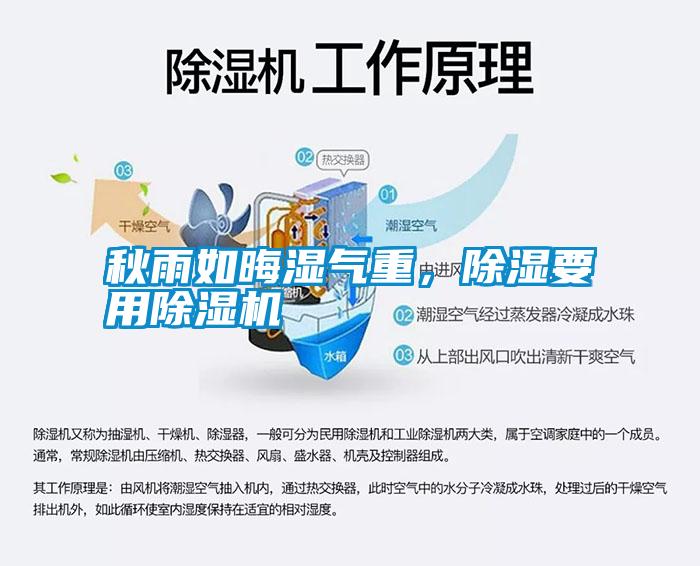 秋雨如晦濕氣重，除濕要用除濕機