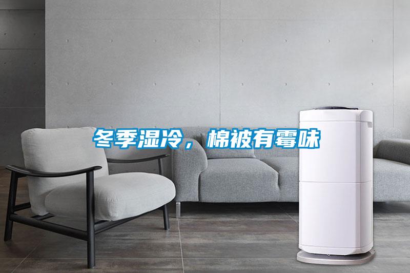 冬季濕冷，棉被有霉味