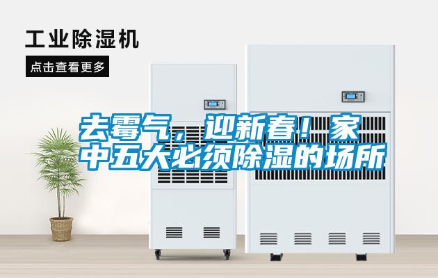 去霉氣，迎新春！家中五大必須除濕的場所