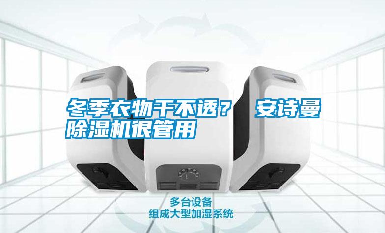 冬季衣物干不透？ 安詩(shī)曼除濕機(jī)很管用