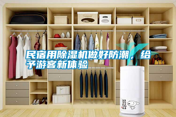 民宿用除濕機(jī)做好防潮，給予游客新體驗(yàn)