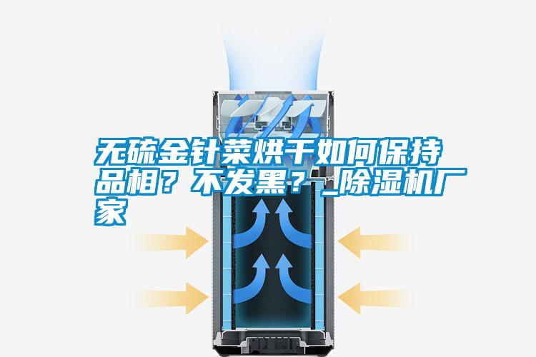 無硫金針菜烘干如何保持品相？不發(fā)黑？_除濕機(jī)廠家