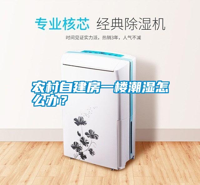 農(nóng)村自建房一樓潮濕怎么辦？