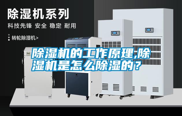 除濕機的工作原理,除濕機是怎么除濕的？