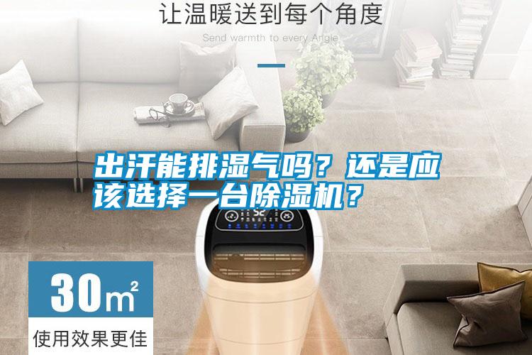 出汗能排濕氣嗎？還是應該選擇一臺除濕機？