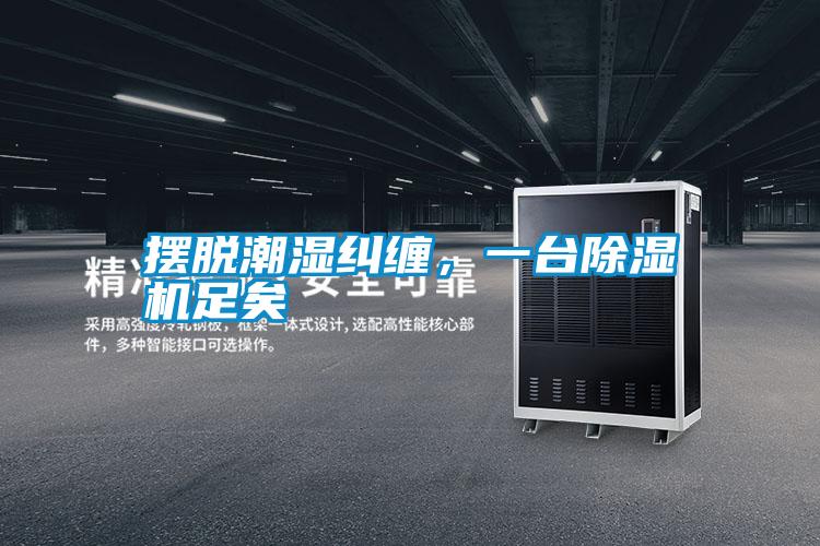 擺脫潮濕糾纏，一臺(tái)除濕機(jī)足矣