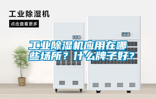 工業(yè)除濕機應用在哪些場所？什么牌子好？