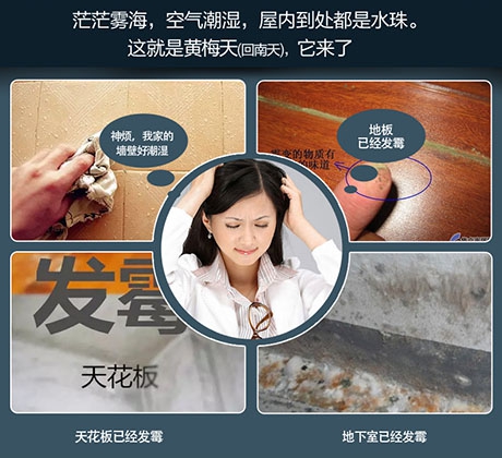 酒店、餐廳這么潮，誰還放心？除濕機(jī)用起來啊