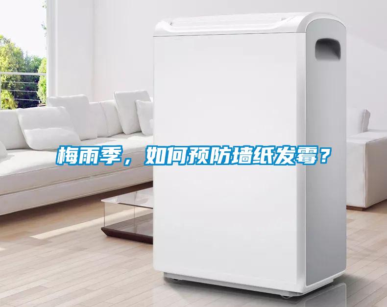 梅雨季，如何預防墻紙發(fā)霉？