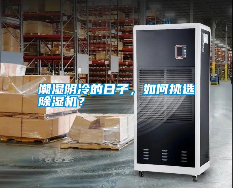 潮濕陰冷的日子，如何挑選除濕機(jī)？