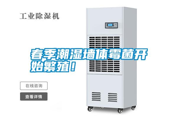 春季潮濕墻體霉菌開始繁殖！