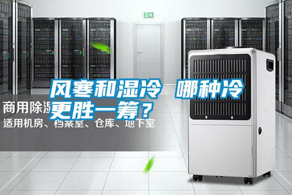 風(fēng)寒和濕冷 哪種冷更勝一籌？