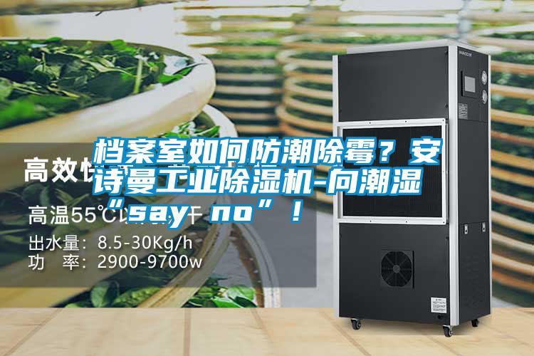 檔案室如何防潮除霉？安詩(shī)曼工業(yè)除濕機(jī)-向潮濕“say no”！