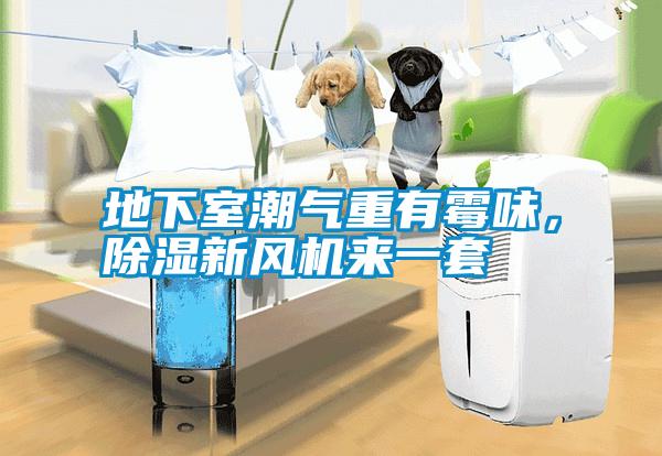 地下室潮氣重有霉味，除濕新風機來一套