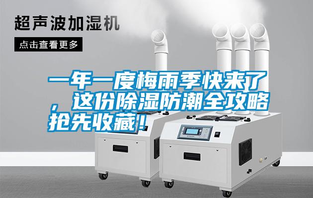 一年一度梅雨季快來了，這份除濕防潮全攻略搶先收藏！