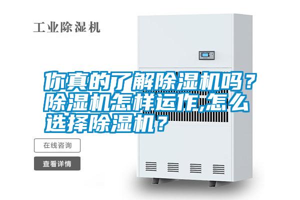 你真的了解除濕機(jī)嗎？除濕機(jī)怎樣運作,怎么選擇除濕機(jī)？