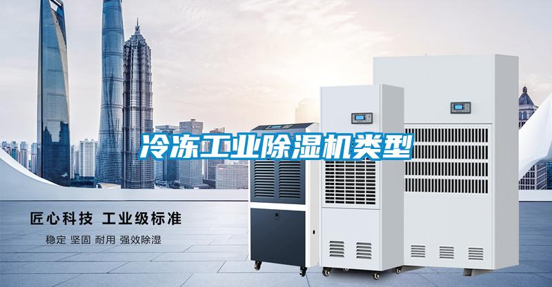 冷凍工業(yè)除濕機(jī)類(lèi)型