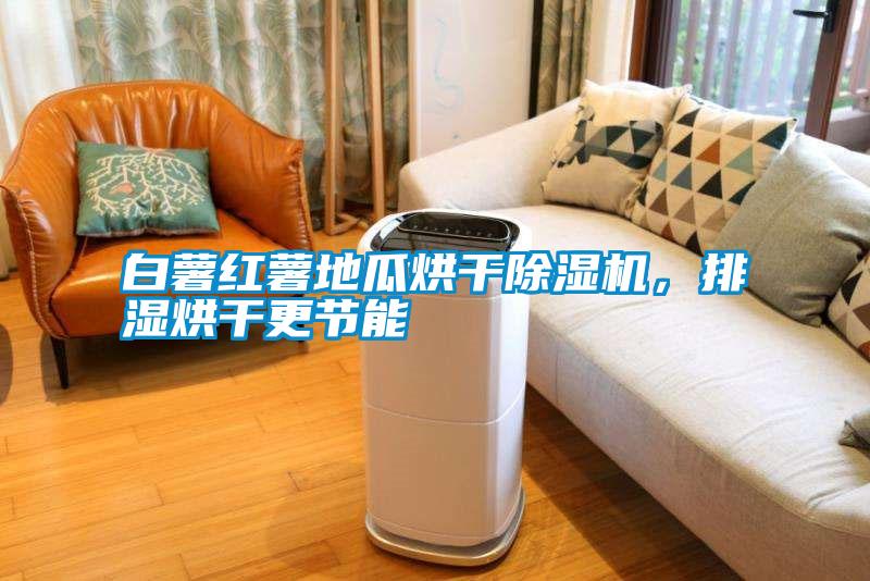 白薯紅薯地瓜烘干除濕機(jī)，排濕烘干更節(jié)能
